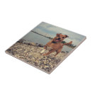 Suche nach bilder fliesen Für sie/ihn