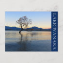 Suche nach wanaka postkarten That wanaka tree
