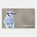 Suche nach wald post it Naturfotografie