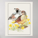 Suche nach qual poster Vogelvogel