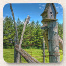 Suche nach vogelhaus untersetzer Superstock