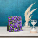 Suche nach meer fotoplatten Blume