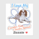 Recherche de cavalier king charles autocollants Espagne