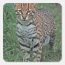 Suche nach bedrohte aufkleber Wildnis