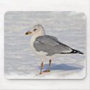 Suche nach möwe mousepads Vogelbeobachtung