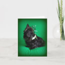 Suche nach lustiges st patricks day karten Irisch