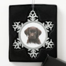 Recherche de peinture de chien ornements Dogs