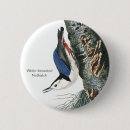 Recherche de poitrine badges Oiseau