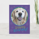 Recherche de humour golden retriever cartes postales Dog
