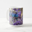 Recherche de perroquet bleu tasses Faune