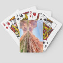 Suche nach grand canyon spielkarten Landschaft