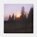 Recherche de lavande magnets Photographe