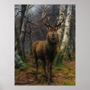 Recherche de chasseuse posters Sportif