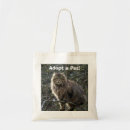 Recherche de longs cheveux sacs Chat
