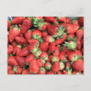 Recherche de fruit juteux cartes postales Bio