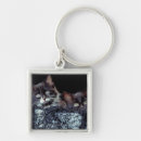 Suche nach eimer schlüsselanhänger Studioschuß