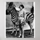 Suche nach zirkus poster Zebra