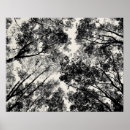 Suche nach der baum poster Abstrakt