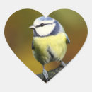 Suche nach little bird aufkleber Natur