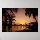 Suche nach tropische palmen poster Meer