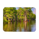 Recherche de marais magnets Bayou