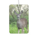 Recherche de cerf voiture accessoires Faune