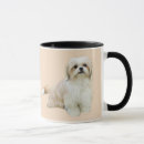 Recherche de shitzu tasses Chien