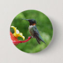 Recherche de rubis badges Colibri
