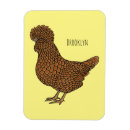 Recherche de poulet magnets Bantam