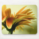 Recherche de gerbera mousepads Floral