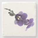 Suche nach orchideen untersetzer Grün