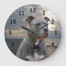 Recherche de nez horloges Animaux