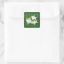 Suche nach jasmin aufkleber Blume
