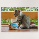 Recherche de minuscule puzzles Chaton