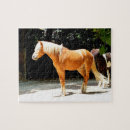 Recherche de chevaux palomino puzzles Cheval