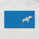 Suche nach möwe visitenkarten Flug