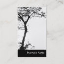 Recherche de équilibre cartes visite Arbre