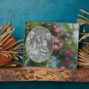Recherche de de peinture plaques Pour elle