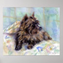 Suche nach cairn terrier poster Portrait
