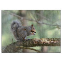 Suche nach niedliches eichhörnchen schneidebrettchen Nagetier