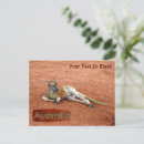 Recherche de marsupial cartes postales Australie