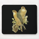 Suche nach wanderfalke Ausländisch