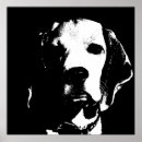 Suche nach hundegesicht poster Niedlich