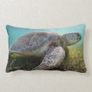 Recherche de tortue de mer coussins Voile