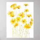 Suche nach gelbes gänseblümchen poster Grün