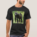 Recherche de infantile tshirts Singes