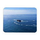 Suche nach otter magnete Ozean