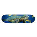 Recherche de divers skateboards Vert