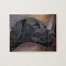 Recherche de labrador noir puzzles Horizontal