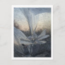 Suche nach eis pflanze poster Flora